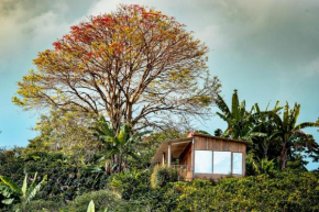 Finca Saabu